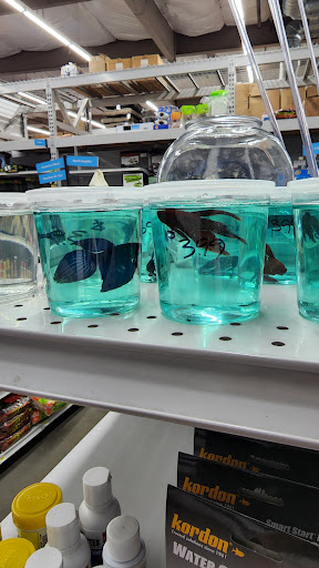 Pet Supply Store «Pet Club Rancho Cordova», reviews and photos, 2344 Sunrise Blvd, Rancho Cordova, CA 95670, USA