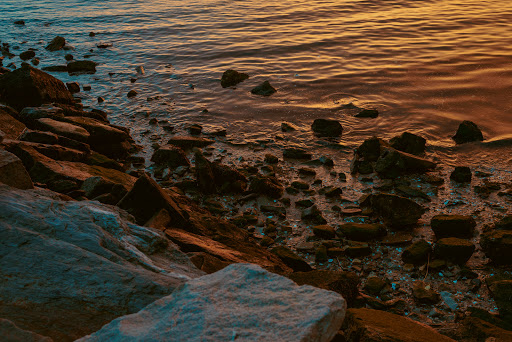 Coffee Shop «Starbucks», reviews and photos, 1 Parker Harding Plaza, Westport, CT 06880, USA