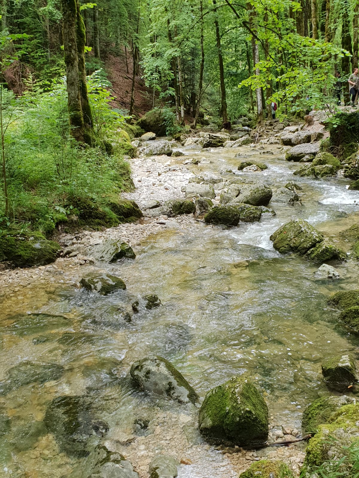 Photo n° 2 de l'avis de totof.h fait le 22/08/2019 à 14:27