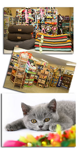 Pet Supply Store «Dog Day Afternoon», reviews and photos, 2527 Frank Scott Pkwy W, Belleville, IL 62223, USA