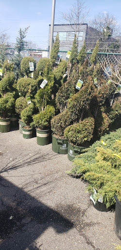 Garden Center «Westminster Nursery & Florist», reviews and photos, 30 Westminster Rd, West Hempstead, NY 11552, USA