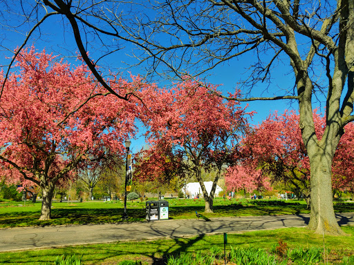 Zoo «Detroit Zoo», reviews and photos, 8450 W 10 Mile Rd, Royal Oak, MI 48067, USA