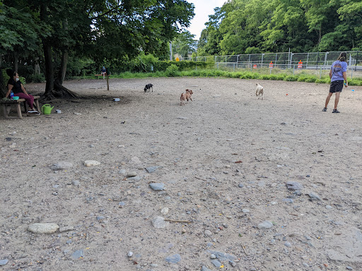 Dog Park «Waterman St. Dog Park», reviews and photos, 320 Waterman St, Providence, RI 02906, USA