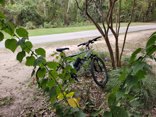 Ashford Pawn, 11740 Westheimer Rd, Houston, TX 77077, USA, 