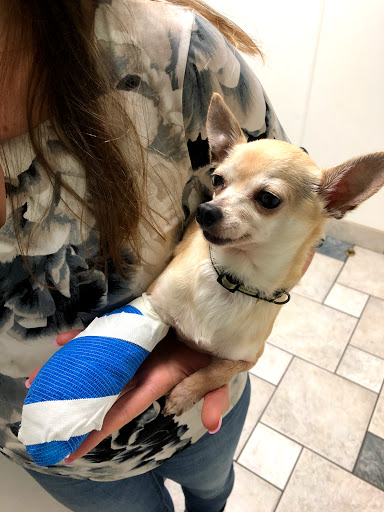 2703 Caton Hill Rd, Woodbridge, VA 22192, USA