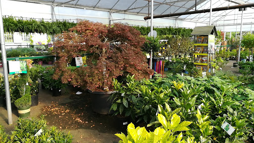Garden Center «Pike Nurseries», reviews and photos, 615 W Crossville Rd, Roswell, GA 30075, USA