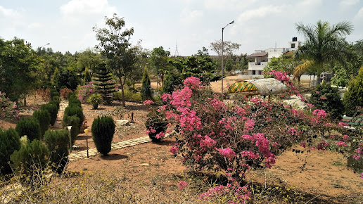 Google Maps image 10