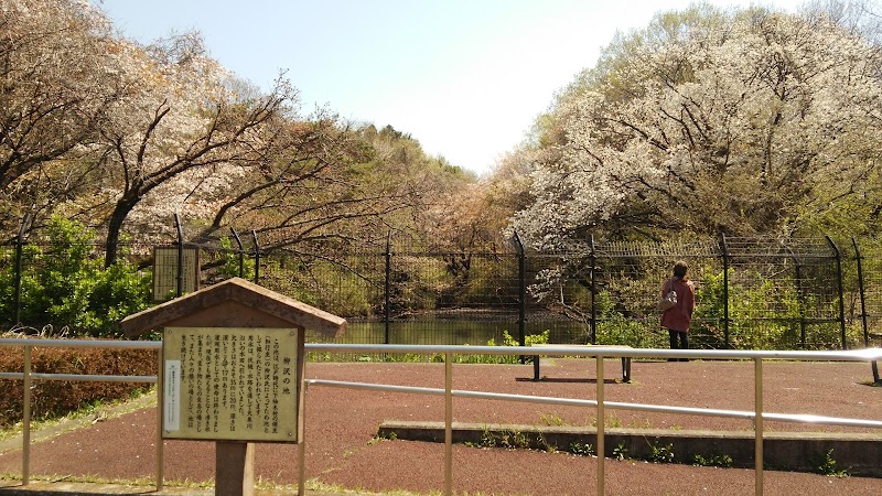 柳沢の池公園