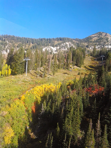 Amusement Park Ride «Park City Alpine Slide», reviews and photos, 1345 Lowell Ave, Park City, UT 84060, USA