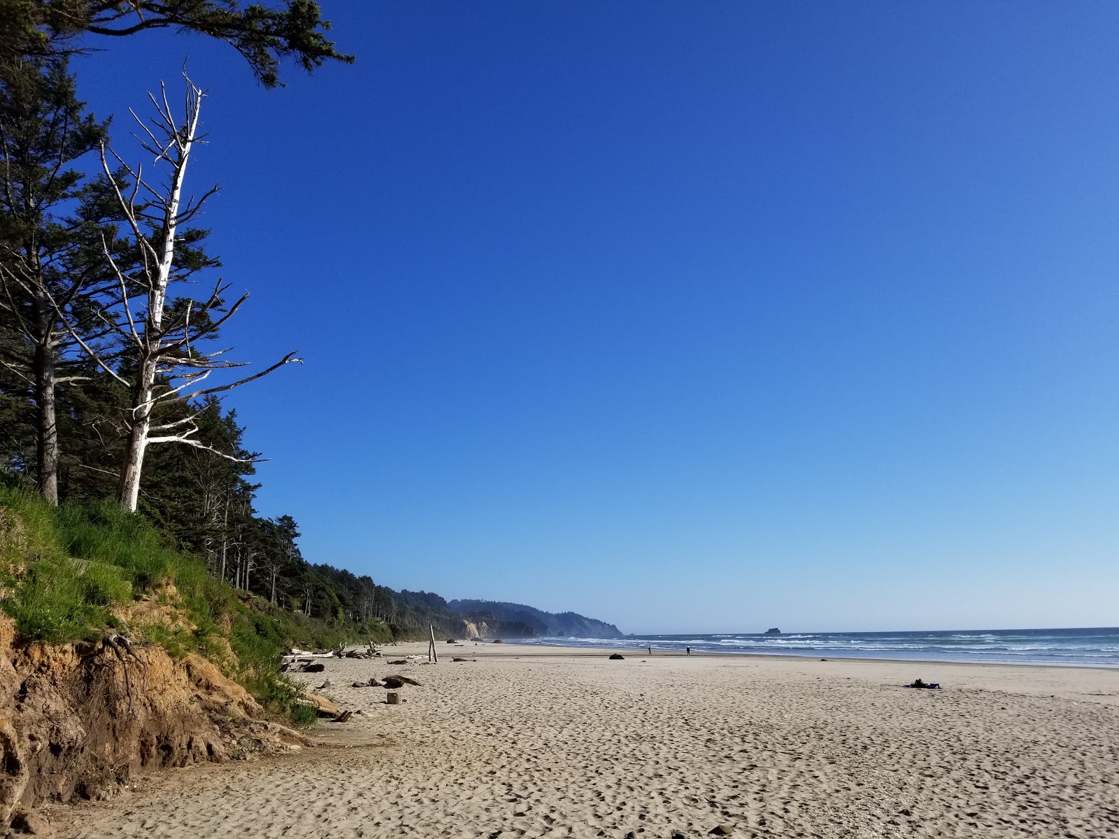 Foto de Arcadia Beach localizado em área natural