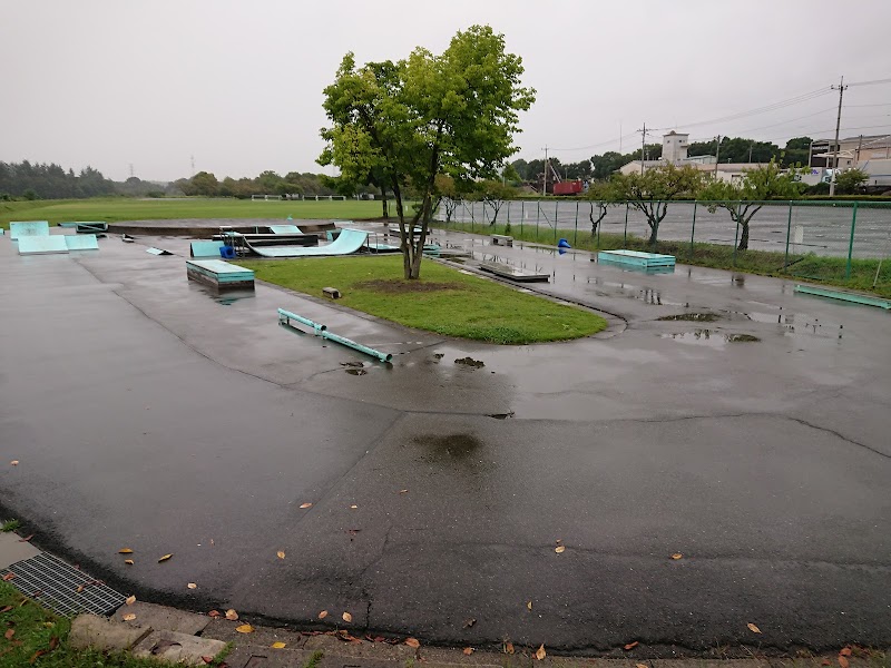 吉井運動公園 スケートボード場
