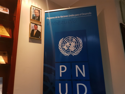 Programa de Naciones Unidas para el Desarrollo