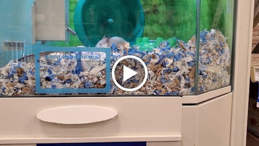 Pet Supply Store «PetSmart», reviews and photos, 5013 S Cleveland Ave, Fort Myers, FL 33907, USA