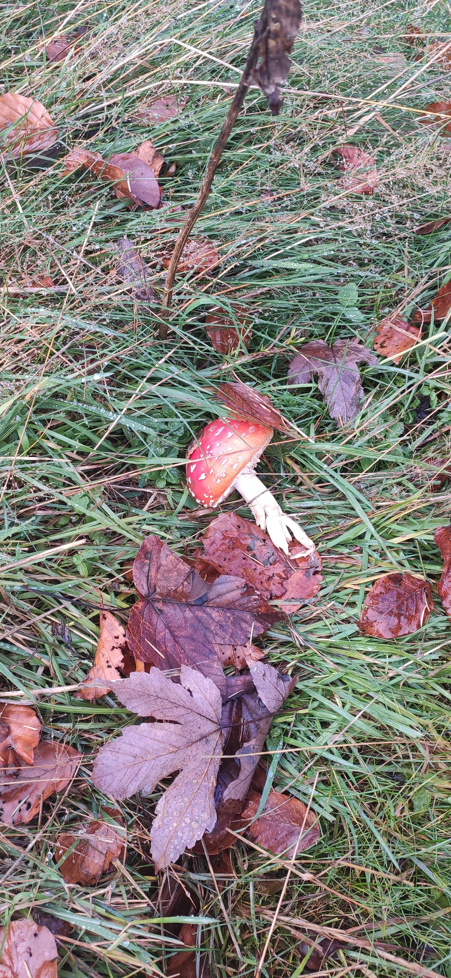 Photo n° 2 de l'avis de Stefany.a fait le 16/11/2022 à 21:25