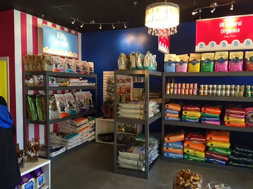 Pet Groomer «Splash and Dash Groomerie & Boutique», reviews and photos, 224 Peachtree East Shopping Center, Peachtree City, GA 30269, USA