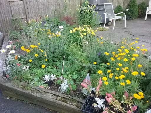 Park «Mack Park», reviews and photos, 31 Grove St, Salem, MA 01970, USA