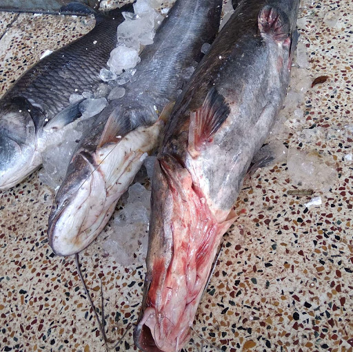 गाजीपुर मछली बाजार