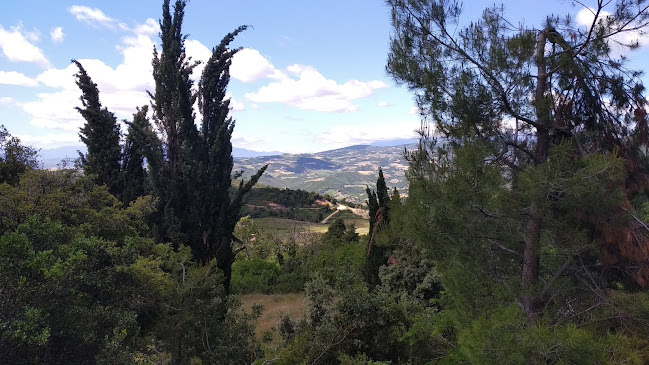 Αριθμός τηλεφώνου Ναός Αγίας Παρασκευής