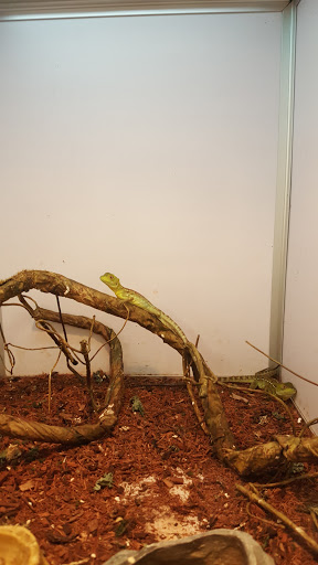 Pet Supply Store «Pet Supermarket», reviews and photos, 226 W 23rd St, Panama City, FL 32405, USA