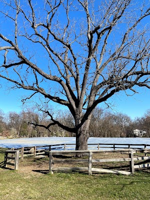 North Four Corners Local Park - photo 90