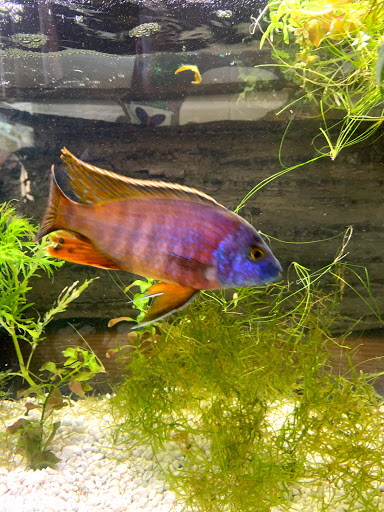 Pet Supply Store «Pickering Valley Feed & Farm Store», reviews and photos, 305 Gordon Dr, Exton, PA 19341, USA