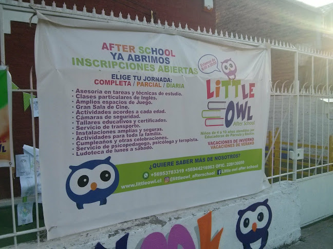Little Owl After School - Guardería