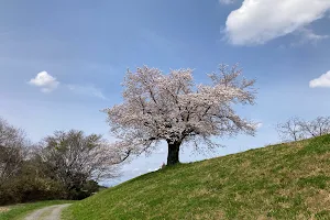 Sakaigawaryokudo Park image