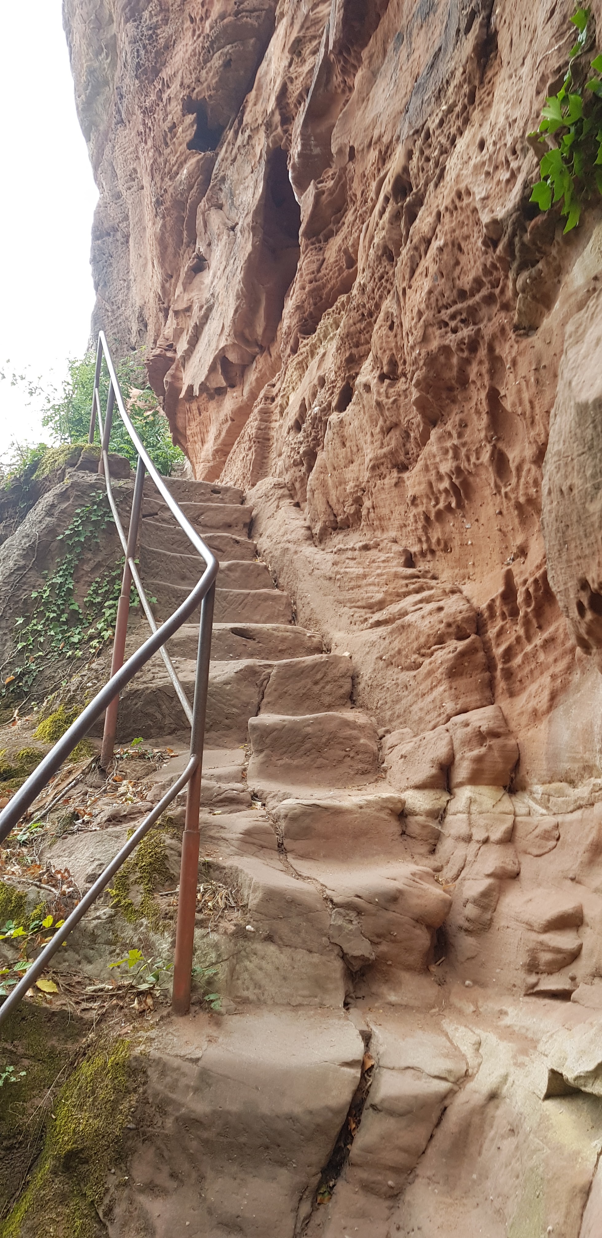 Photo n° 10 de l'avis de David.a fait le 28/08/2018 à 23:26