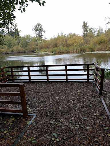 Park «Scriber Lake Park», reviews and photos, 5601 198th St SW, Lynnwood, WA 98036, USA