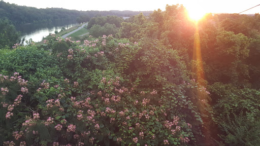 Public Golf Course «Ted Rhodes Golf Course», reviews and photos, 1901 Ed Temple Blvd, Nashville, TN 37208, USA