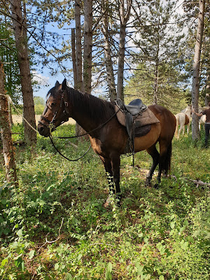 Escapade à cheval à Échevannes