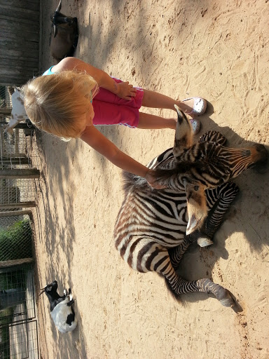 Zoo «Special Memories Zoo», reviews and photos, W7013 Spring Rd, Greenville, WI 54942, USA