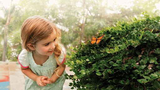 Preschool «Primrose School of Murfreesboro», reviews and photos, 554 Brandies Cir, Murfreesboro, TN 37128, USA