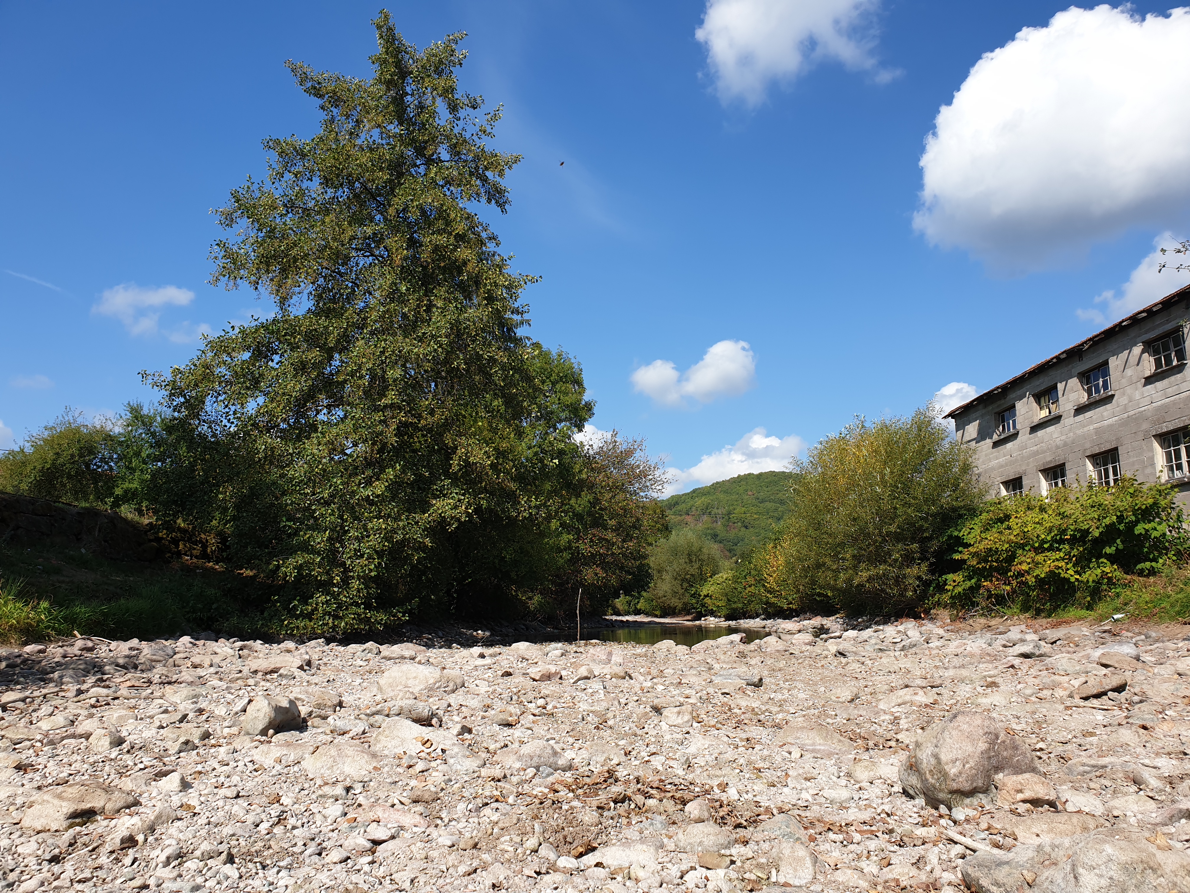 Photo n° 3 de l'avis de Jérôme.E fait le 20/02/2021 à 14:10