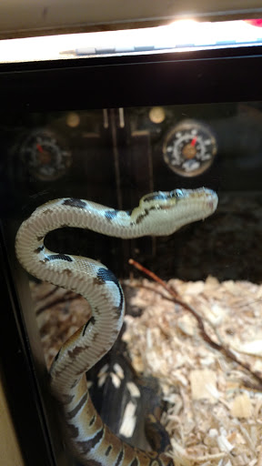 Pet Supply Store «PetSmart», reviews and photos, 4061 Miller Rd, Flint, MI 48507, USA