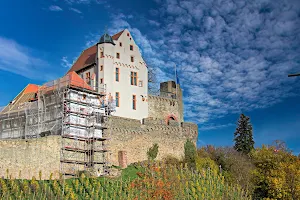 Burg Alzenau image