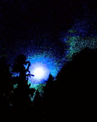 Tattoo and Piercing Shop «Black Hole Body Piercing & Tattoo», reviews and photos, 12550 SW 1st St, Beaverton, OR 97005, USA