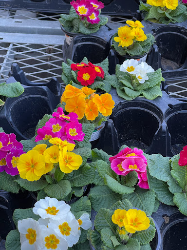 Home Improvement Store «The Home Depot», reviews and photos, 2707 S Towne Ave, Pomona, CA 91766, USA