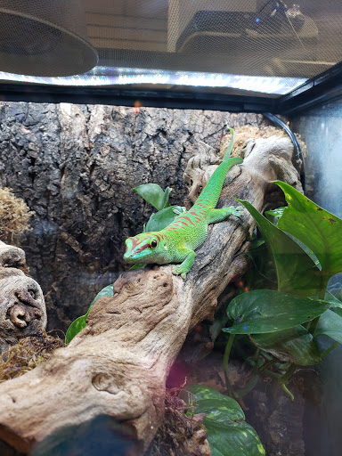 Pet Supply Store «Buckles Feed Depot & Pet Supply», reviews and photos, 220 S 4th St, Lafayette, IN 47901, USA