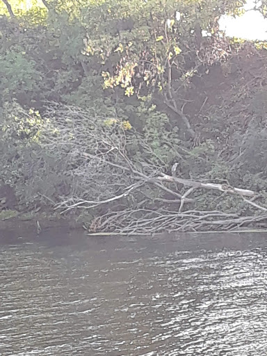 Park «Akin Riverside Park», reviews and photos, 1721 River Ave, Anoka, MN 55303, USA