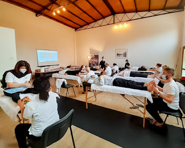 Scuola Professionale Massaggio - Evolution Academy - Monfalcone Via Callisto Cosulich, 3, 34074 Monfalcone GO, Italia