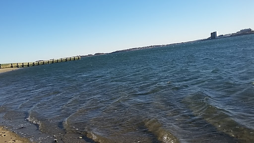 Community Center «Curley Community Center», reviews and photos, 1663 Columbia Rd, Boston, MA 02127, USA