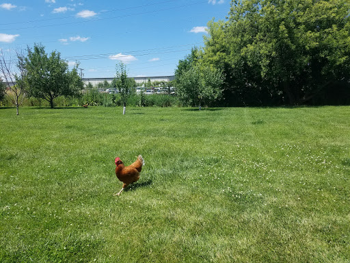 Gym «Jab Fitness Training Inc», reviews and photos, 10S279 Schoger Dr # C, Naperville, IL 60564, USA