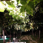 Photo n°1 de l'avis de Francesca.a fait le 14/09/2022 à 08:48 sur le  Ristorante Crichelon à Altavilla Vicentina