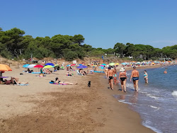 Foto di Platja El Rec del Moli ubicato in zona naturale