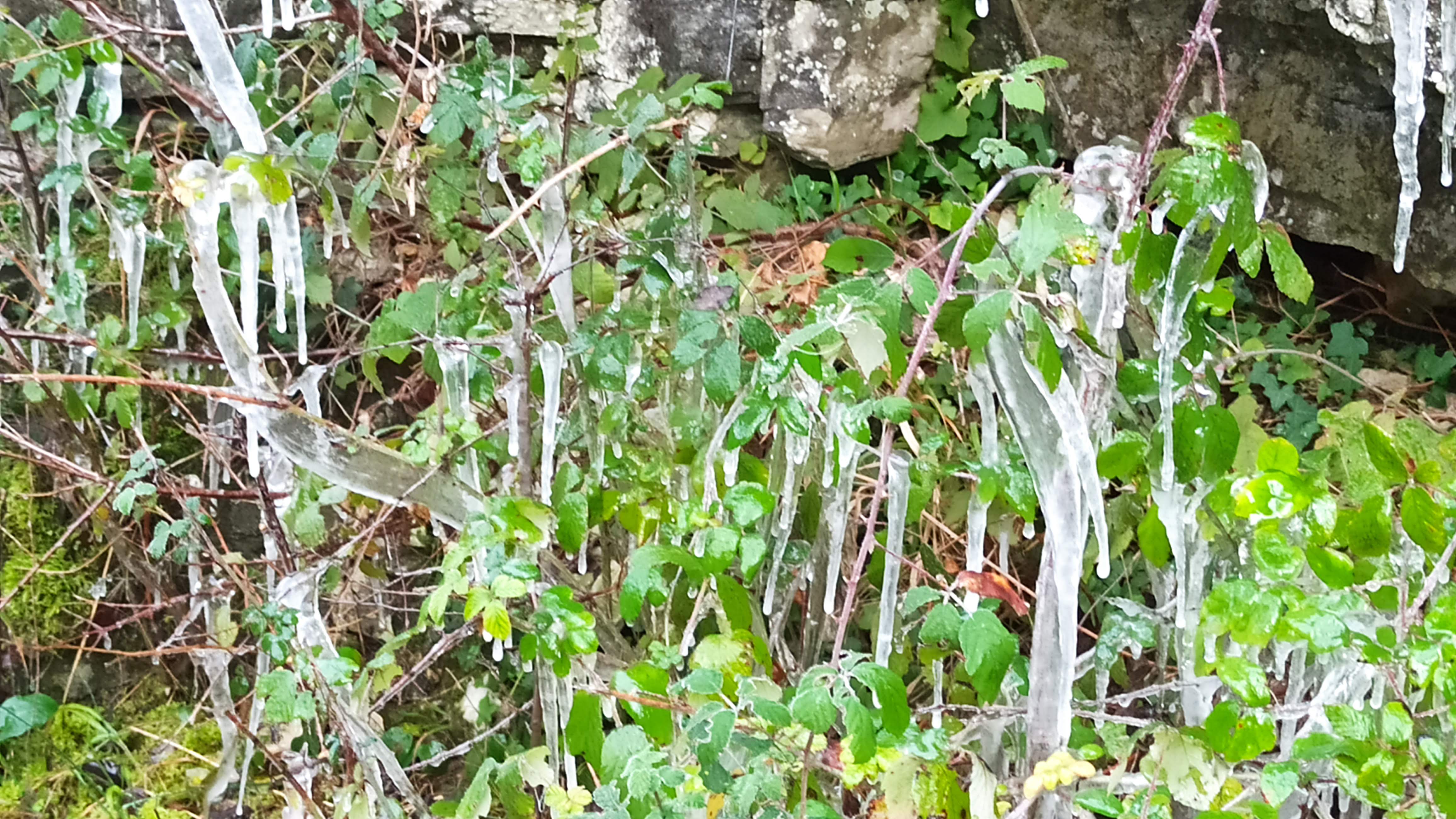 Photo n° 4 de l'avis de Veltas. fait le 30/10/2019 à 11:55