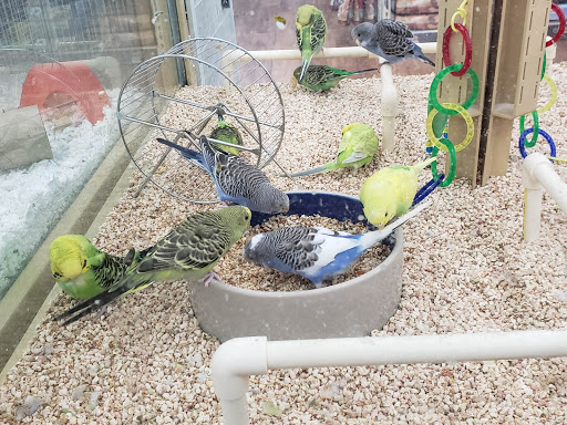 Pet Store «Pet Supermarket», reviews and photos, 9798 Glades Rd, Boca Raton, FL 33434, USA