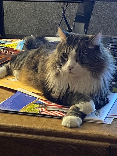 10652 S Eastern Ave # B, Henderson, NV 89052, USA