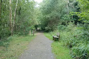 Crowborough Country Park image