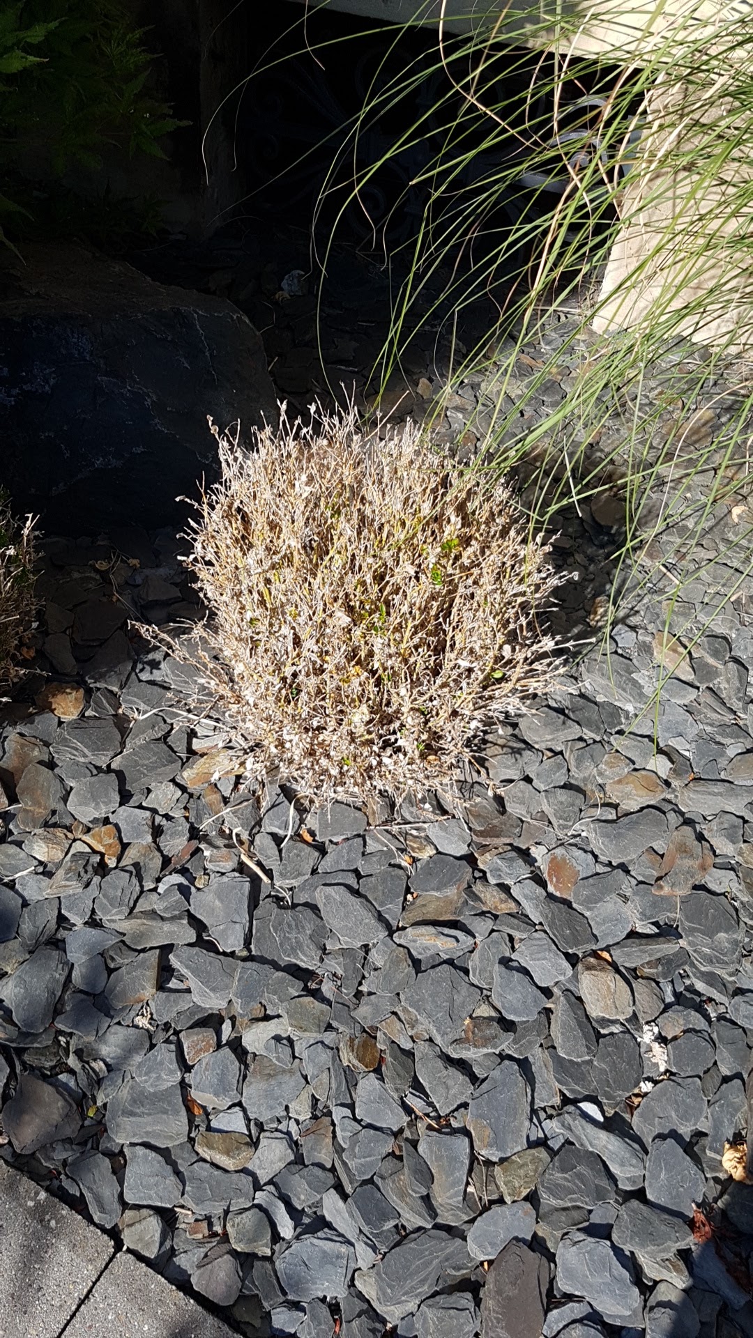 Photo n° 46 de l'avis de hugo.l fait le 20/08/2018 à 15:25